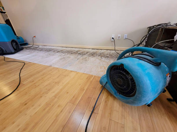 Professional Sewage Cleanup technician working in Dawson, GA